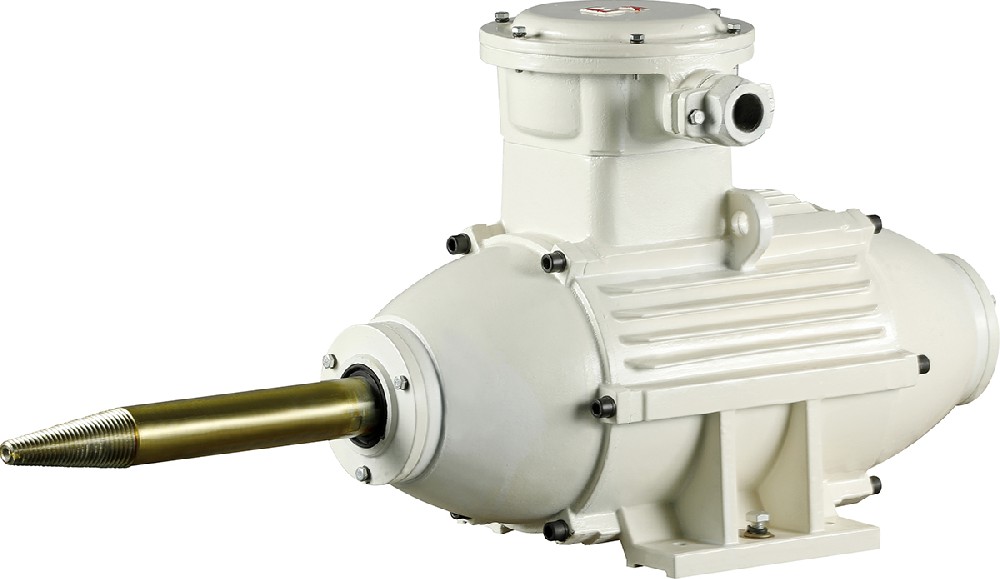 Explosion-Proof-Polishing-Motor - Explosion-Proof Polishing Motor | UTEK-DELE photo 1